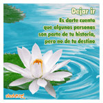 Flor en el agua