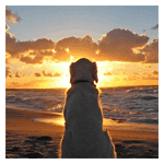Mirando el horizonte