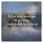 Frases universales