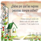 Jardin con flores
