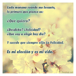 Flores blancas