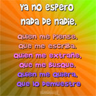 No espero nada