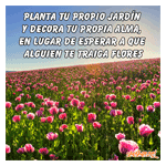 Jardin de flores