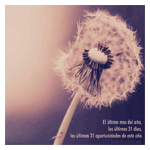 Imagenes gratis