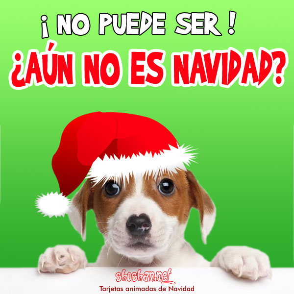 Perro de Navidad