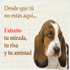 Perro triste