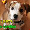 Perrito día de la madre