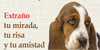 Perro triste