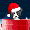Cachorro en Navidad