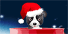 Perrito en navidad