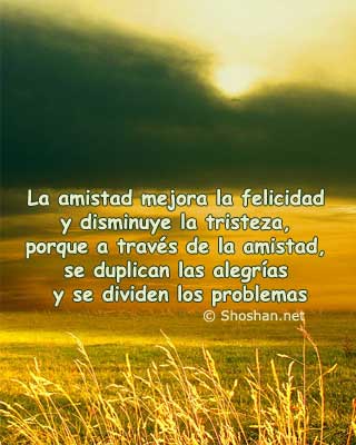 Campos de trigo