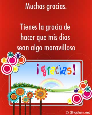 Flores de colores