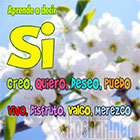 Decir Si