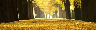 Tarde de otoño